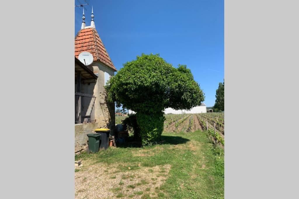 Chateau Roseyrol Proche Saint-Emilion Exterior photo