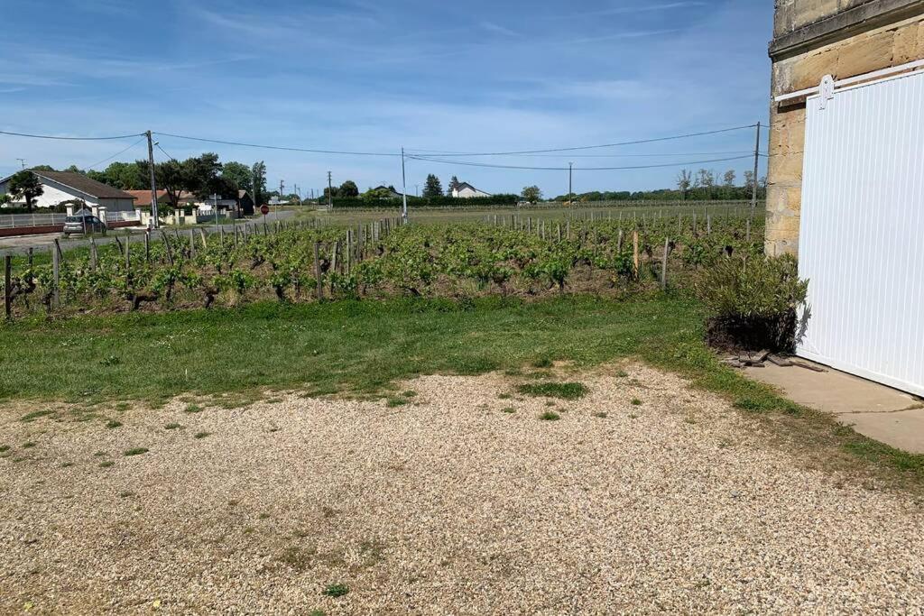 Chateau Roseyrol Proche Saint-Emilion Exterior photo